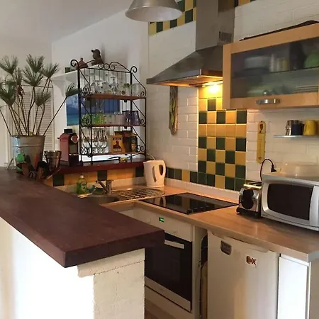 Apartament Calme Et Terrasse Arboree En Centre *